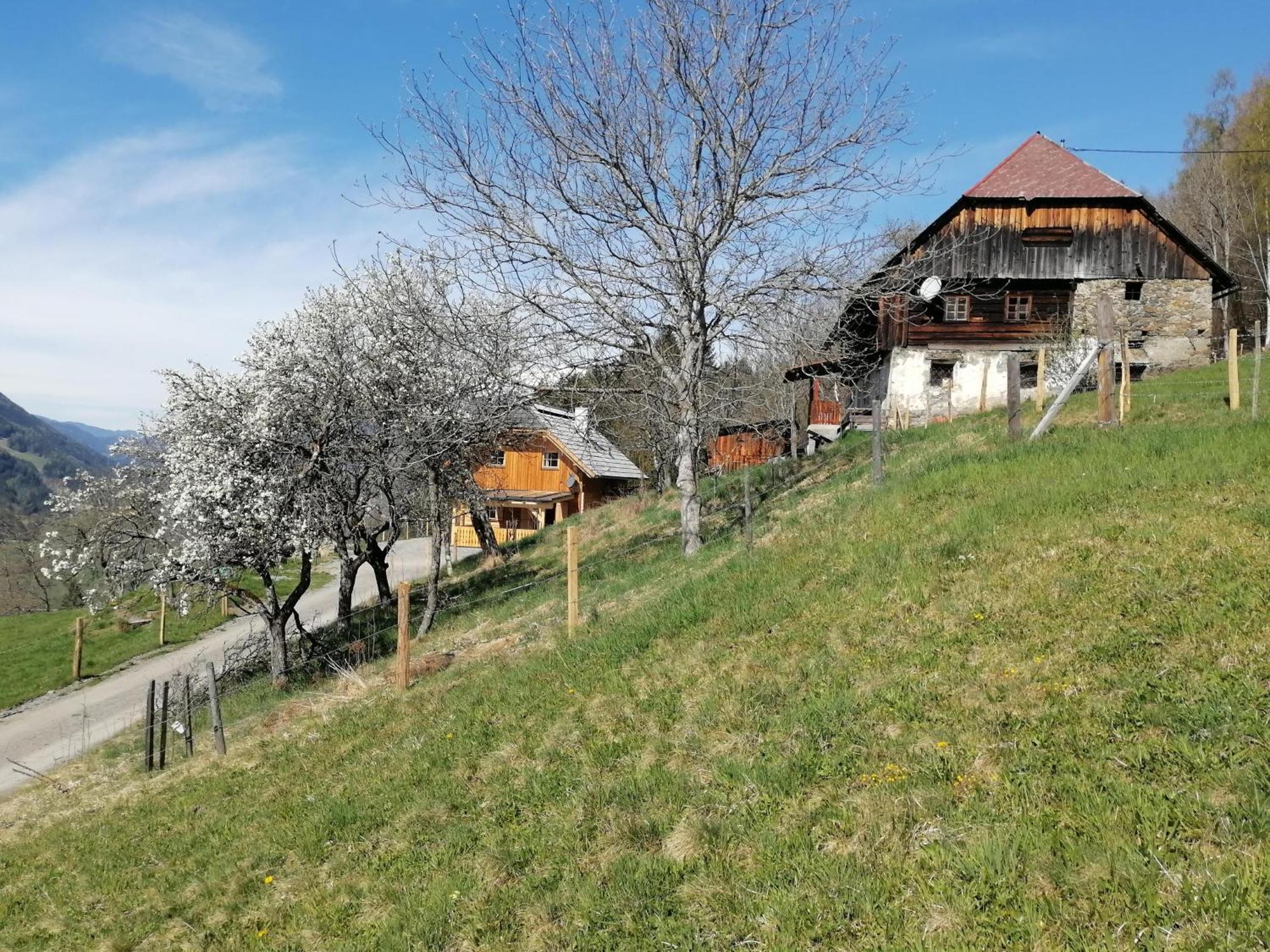 Laerchenhaus ,,Unterer Brodl" Villa Sankt Peter am Kammersberg Exterior photo
